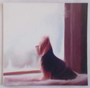 Digital Printed  Yorkie / Doggie Fridge magnet