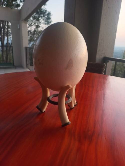 Ostrich Egg On Ivory Stand
