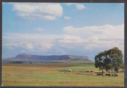 Kerkenberg Near Harrismith OFS - Unused Postcard