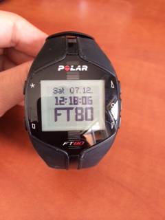 Polar FT80