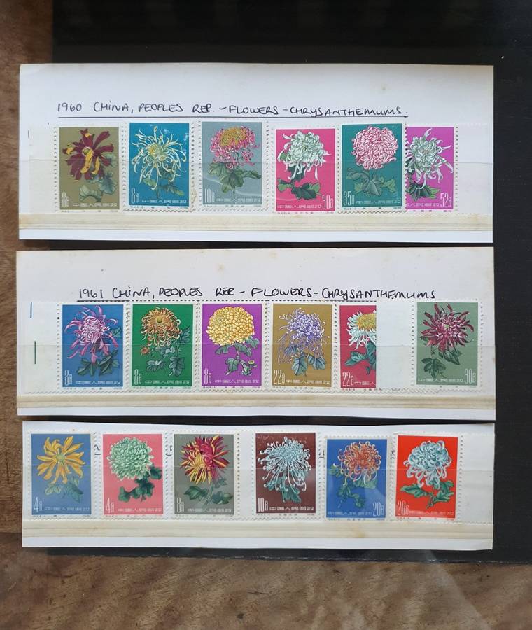 1960-1961 CHINA PEOPLES REP. FLOWERS - CHRYSANTHEMUMS FULL SET OF STAMPS