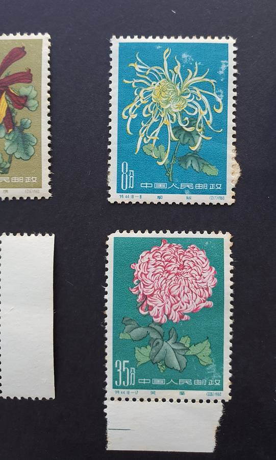 1960-1961 CHINA PEOPLES REP. FLOWERS - CHRYSANTHEMUMS FULL SET OF STAMPS