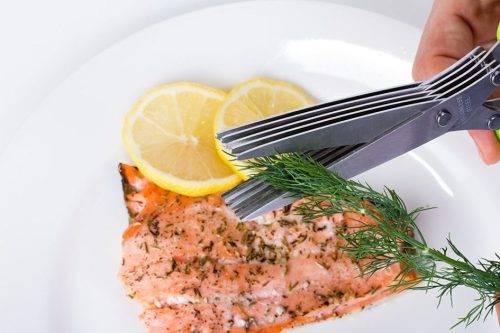 5 Blade Stainless Steel Herb Scissors