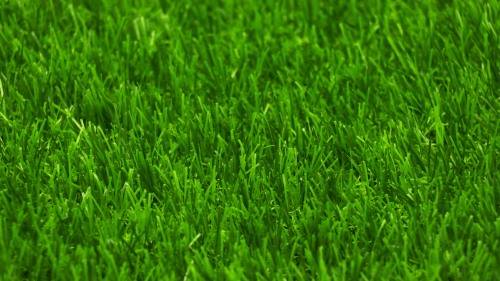 Hazlo See Me Artificial Grass Lawn Turf - 10 Square Meters 2m x 5m (15mm)
