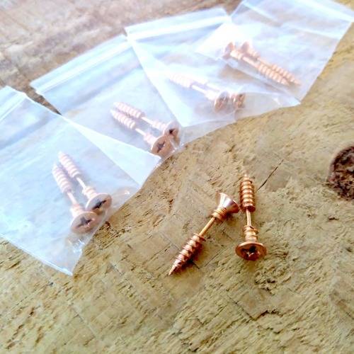 CLEARANCE SALE | Bronze Screwed Earrings | 5 Pairs | Gift Set