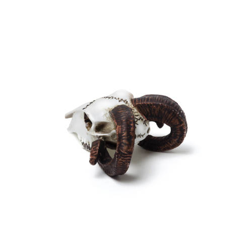 Alchemy Gothic VM1 Rams Skull: Miniature resin ornament