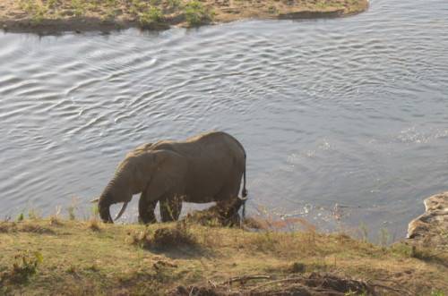 BARGAIN!!!!!-NGWENYA LODGE TIMESHAREFROM20.9.-27.9... STUDIO NO 57- 2 SLEEPER - RIVERVIEW TO RENT