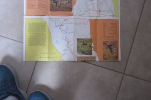 VINTAGE FOLDABLE KRUGER PARK MAP - ANIMAL COUNTING 1971 - AS PER SCAN - SP