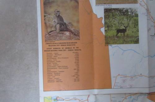 VINTAGE FOLDABLE KRUGER PARK MAP - ANIMAL COUNTING 1971 - AS PER SCAN - SP