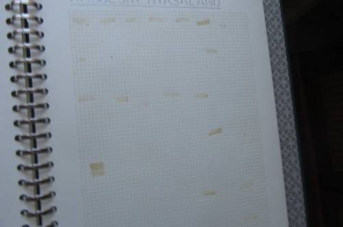 OLD EMPTY STOCK BOOK