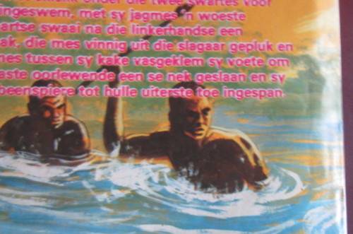 ROOI JAN NO.17 - DIE SWART AREND