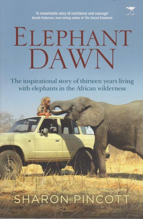 Sharon Pincott - Elephant Dawn