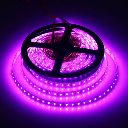 Pinkish Purple LED Strip Light DC12V 5M 600 Led Romantic flexible ribbon