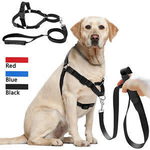 No Pull Best Dog Harness - and Leash