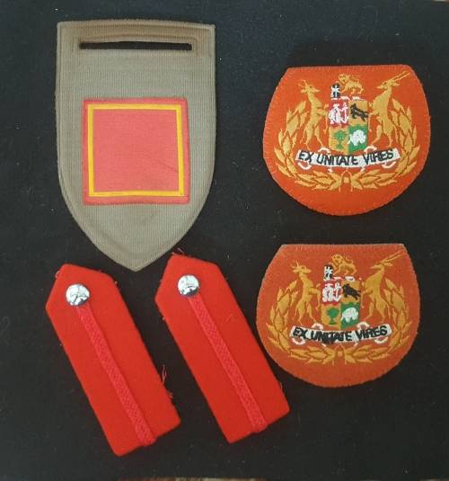 SADF Chief of staff lot, Tupperr, WO Ranks, Collar tabs, badges