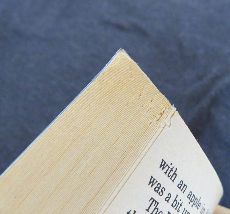 The Carpet People by Terry Pratchett (*His Debut Novel*)