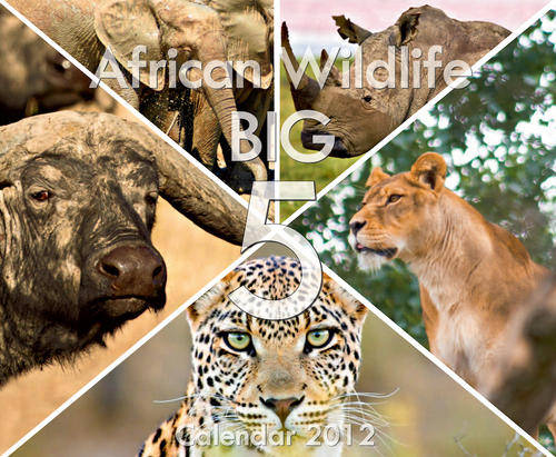 African Wildlife Big5 Calendar