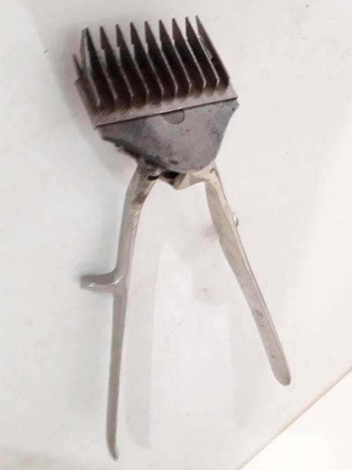 Elsa no 33  Chrome Clipper