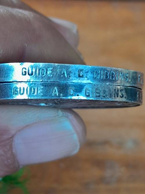 Boer War QSA Medals Awarded To: Guide A C Gibbins F.I.D