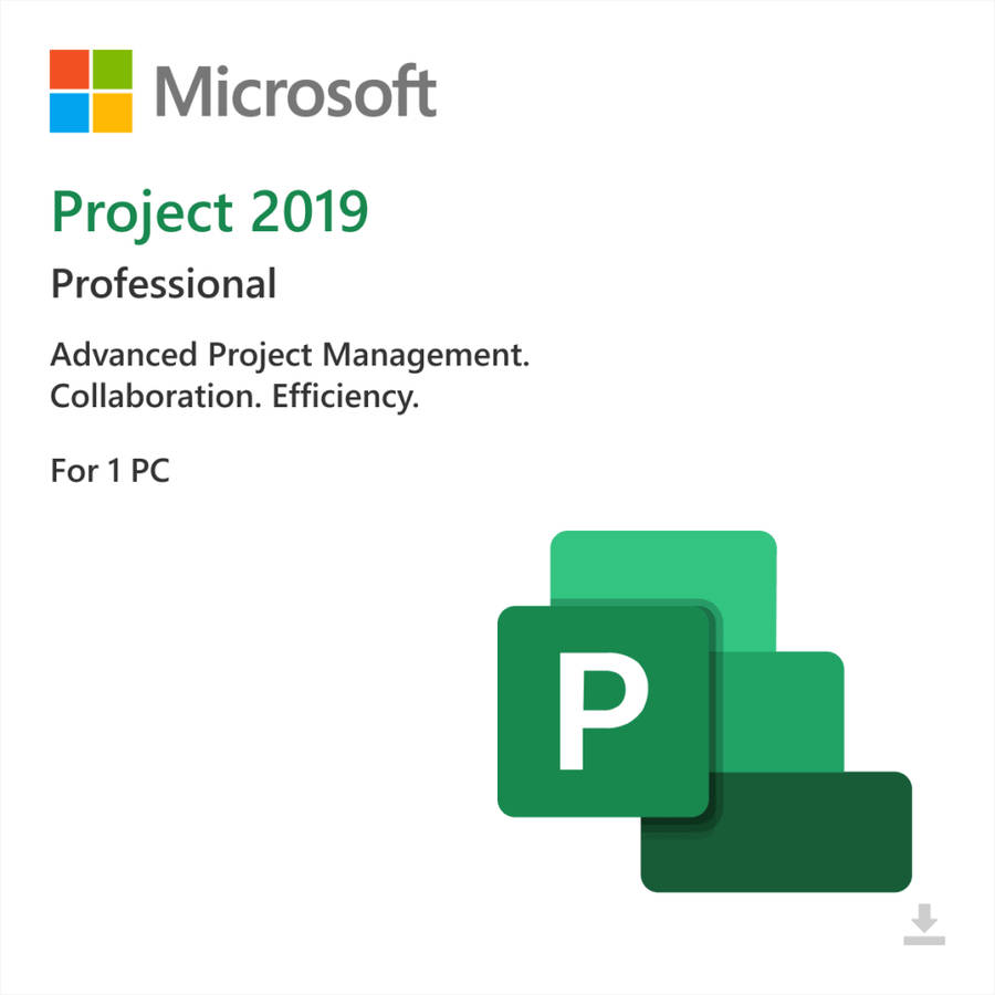 Microsoft Project 2019