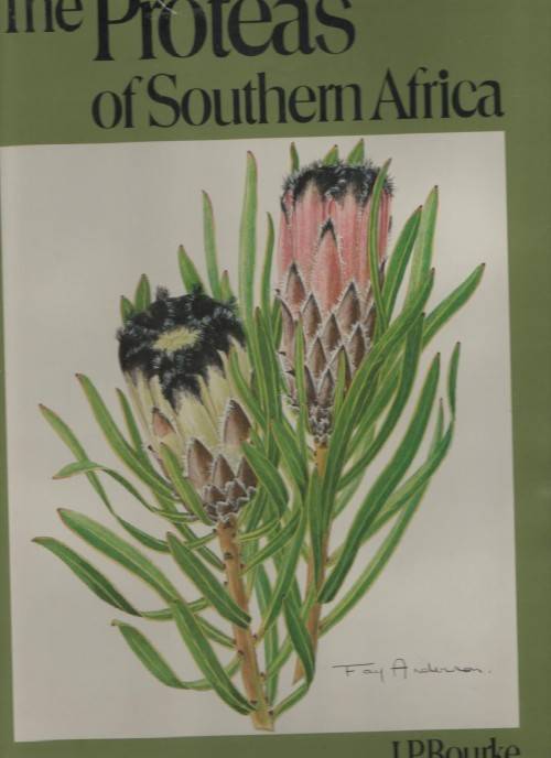 THE PROTEAS OF SOUTHERN AFRICA - J P ROURKE (1980)
