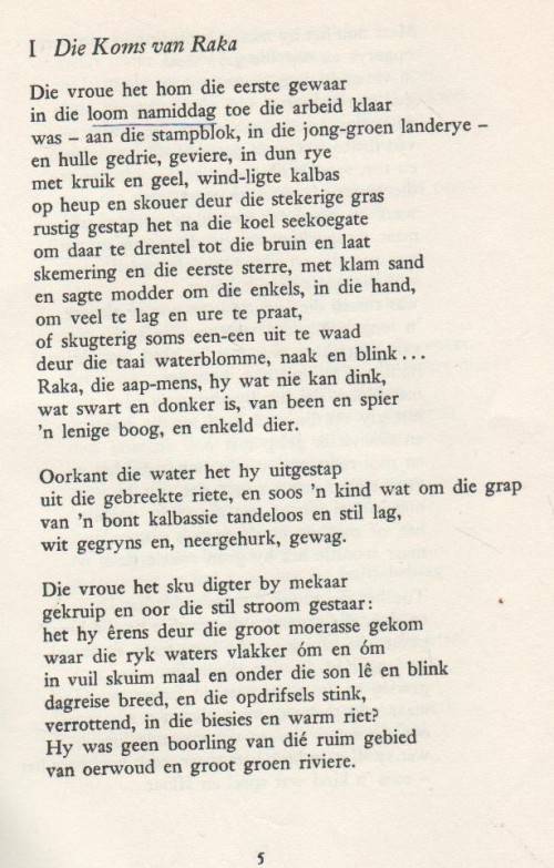 RAKA - N P VAN WYK LOUW (16 DE DRUK 1968)
