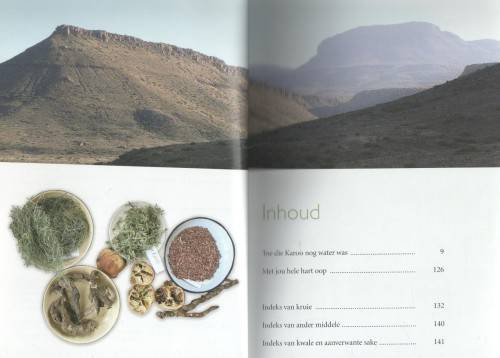 KRUIDJIE ROER MY NIE, DIE ANTIEKE HELINGSKUNS VAN DIE KAROO-VELD - ANTOINETTE PIENAAR
