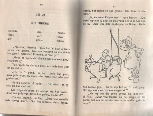 SONNEBLOM-REEKS, BOEK IV - BARNES EN NIENABER (11 DE DRUK)
