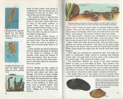 LIFE IN FRESH WATER - MACDONALD (REFERENCE LIBRARY - 1969)