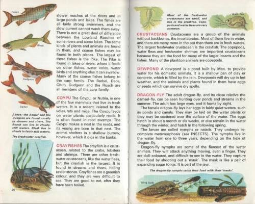 LIFE IN FRESH WATER - MACDONALD (REFERENCE LIBRARY - 1969)