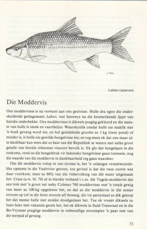VARSWATERHENGEL IN SUID-AFRIKA - B J ENGELBRECHT (3 DE UITGAWE 1982)