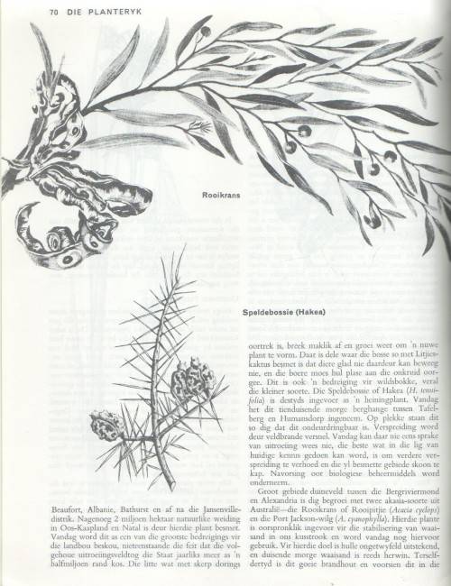 NATUURERFENIS - DOUGLAS HEY (2 DE UITGAWE 1975)