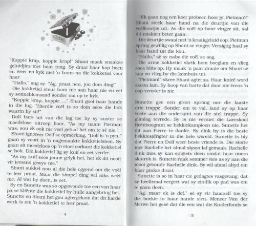 SHANI EN DIE SOKKIE - ANSONETTE KRUGER ( RENBOOGRANT MAATS - 2007)