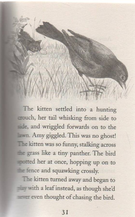 MISTY THE ABANDONED KITTEN - HOLLY WEBB (STRIPES - 2010)