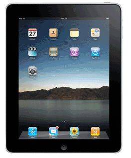 iPad 1 16GB WiFi only (plus 2 covers & new screen protector)