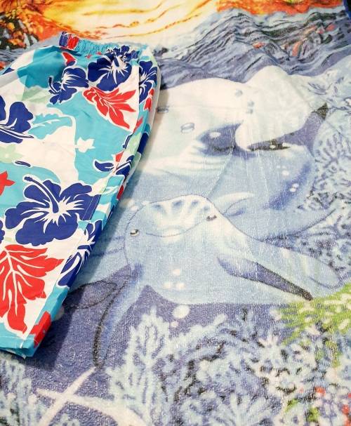 Under the Sea BEACH Kit (Size M-L)