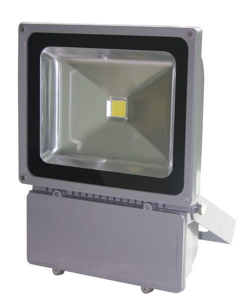 100W 220V LED FLOODLIGHT