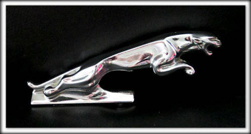 Beautiful Chrome Jaguar Emblem : Stunning