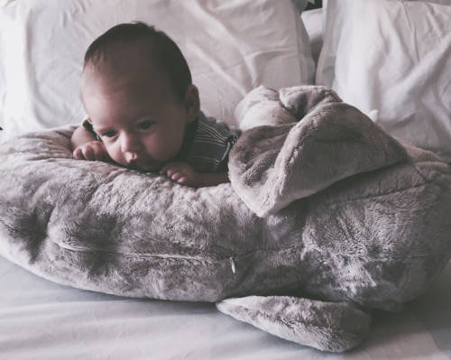 Elephant support pillow