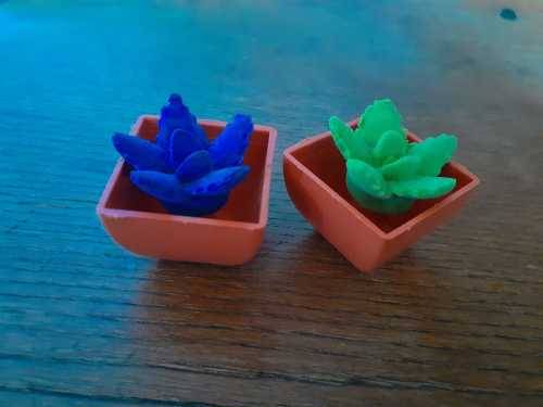 Novelty Growing Artificial Succulents - Echeveria2