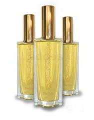 MENS PERFUME 30ml INSPIRED BY GIVENCHY-LAST LONGER THAN ALCOHOL PERFUMES