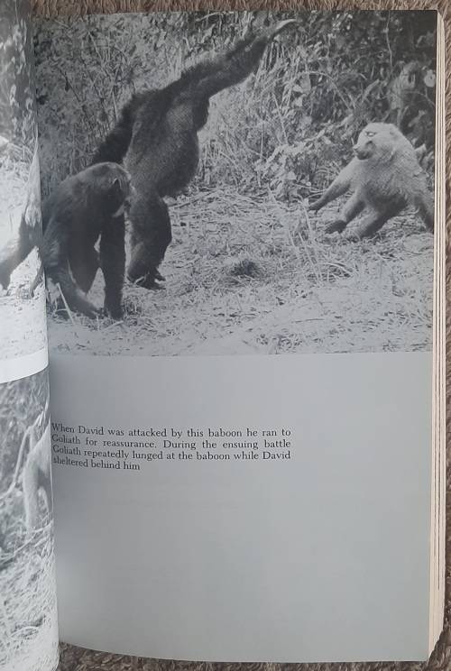 In the Shadow of Man.  Author: Jane Goodall