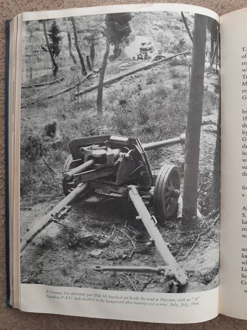 Prince Alfred`s Guard 1856-1966 - Author: Neil Orpen