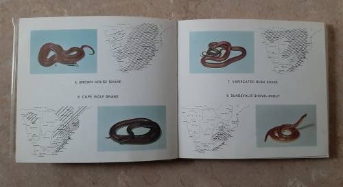 What Snake is that? - Author: John Visser