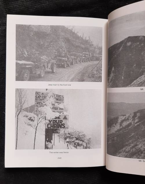 A Year In Italy - Author: Eric Axelson