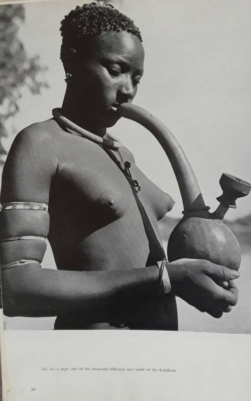 The Rhodesias And Nyasaland - Compiled by Ralph W King and John P De Smidt