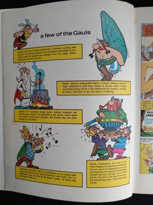 Asterix: The Champion by Goscinny & Uderzo