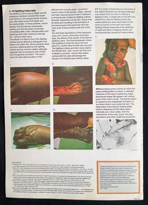 The John Visser Guide to Dangerous Snakes & Snakebite