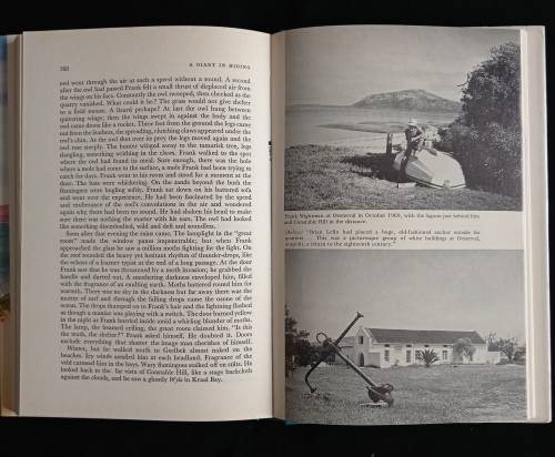 A Giant in Hiding by Lawrence G. Green