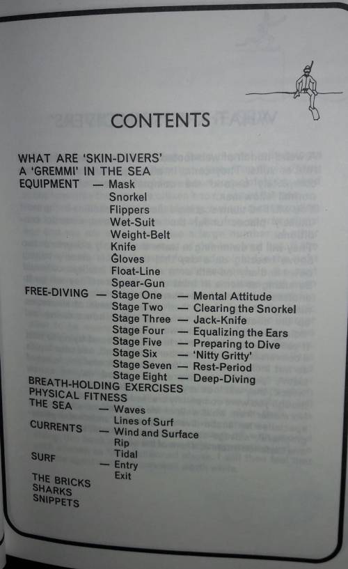 So You Want To Be A Skin Diver - Laurie Plumridge